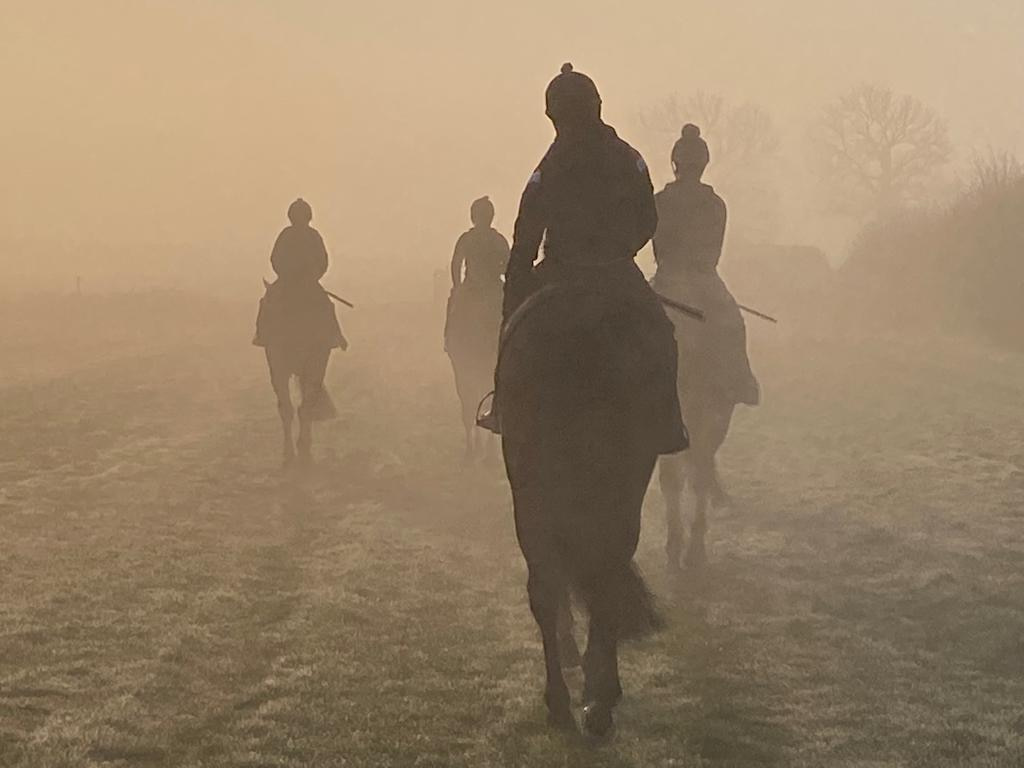 Morning on the gallops